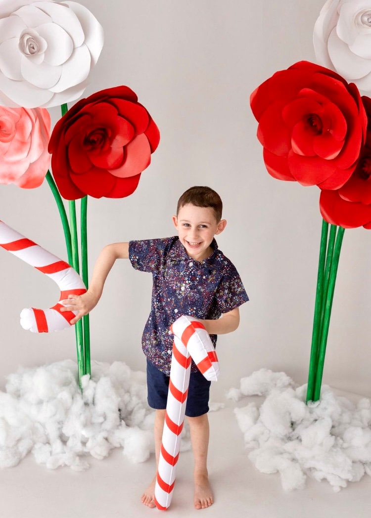 Liberty Christmas Short Sleeve Boy Shirt: Floral Print Cotton Button-Up