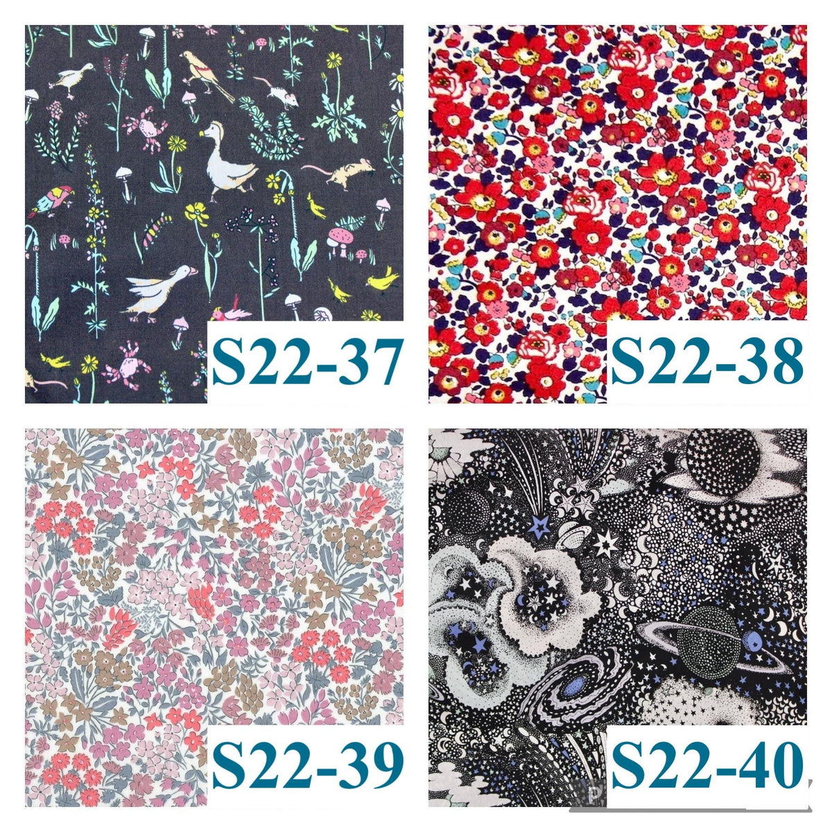 CHRISTMAS Liberty London Boy Shirt: Button Up, Short Sleeves